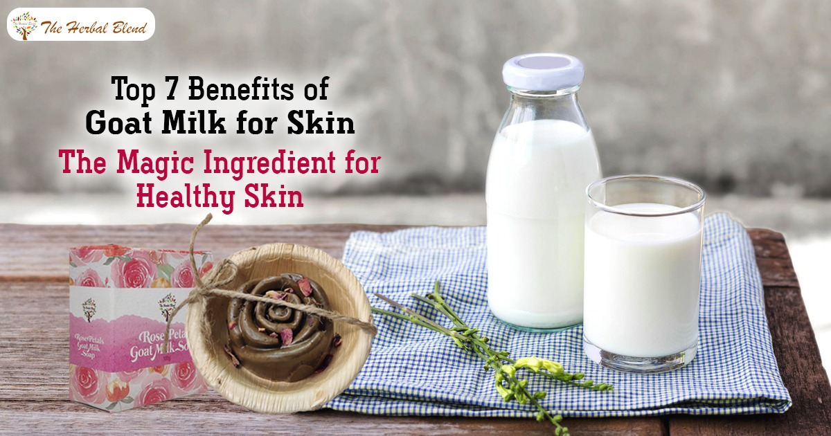 Top 7 Benefits of Goat Milk for Skin- The Magic Ingredient for Healthy Skin